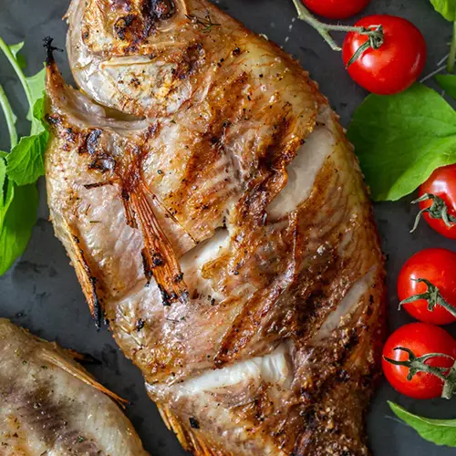 Tilapia_motherland